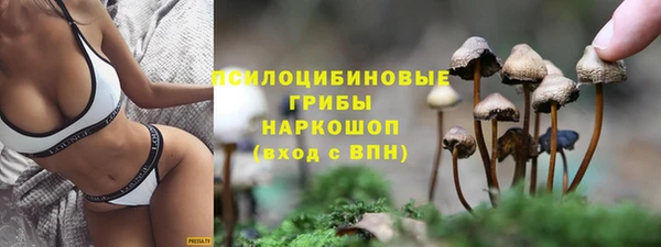ПСИЛОЦИБИНОВЫЕ ГРИБЫ Баксан