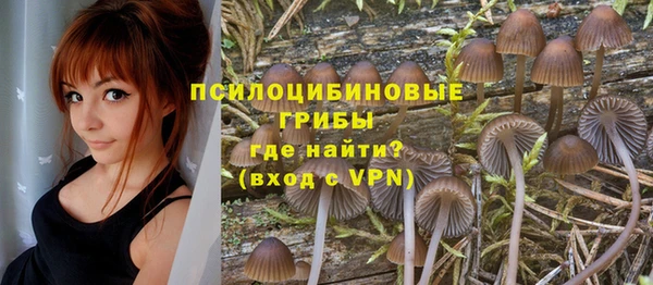 spice Балахна