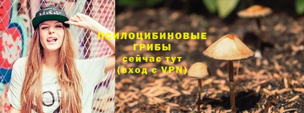 spice Балахна