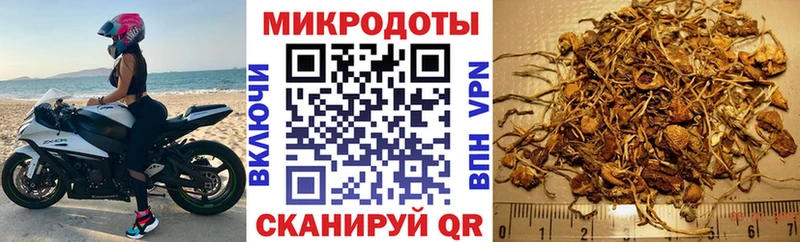Галлюциногенные грибы Magic Shrooms  Балтийск 